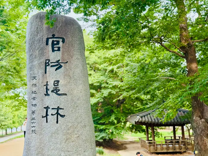 관방제림 비석과 주변의 정자