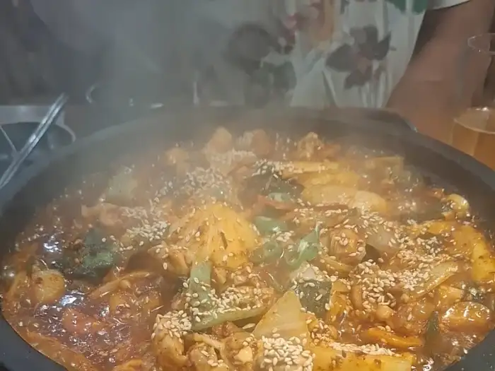 닭볶음탕 근접샷