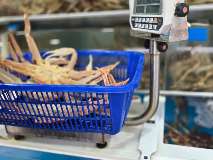 대저울에 올라간 신선한 대게