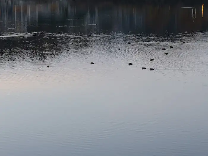 칠곡 저수지 풍경