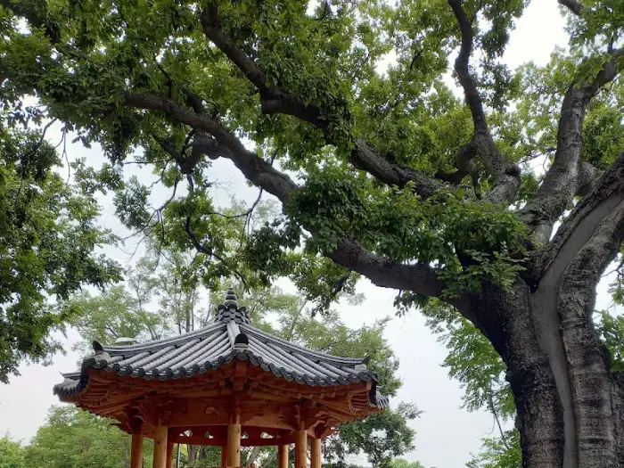 연화정 주변 정자