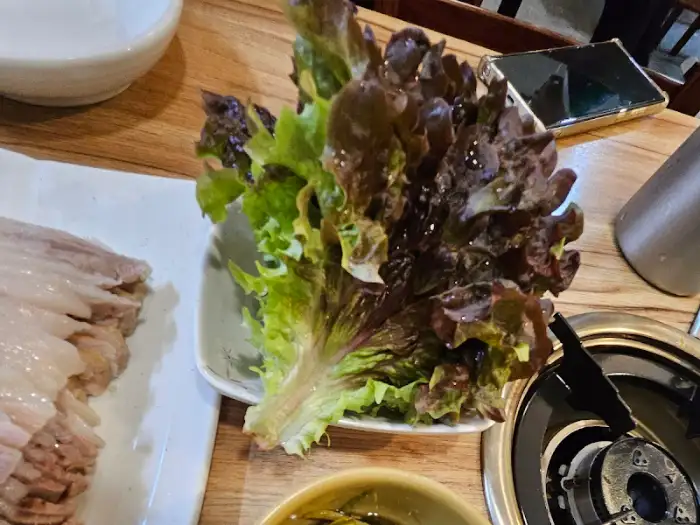 김치 비주얼