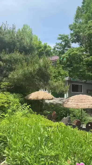 카페 외부의 야외 좌석과 파라솔