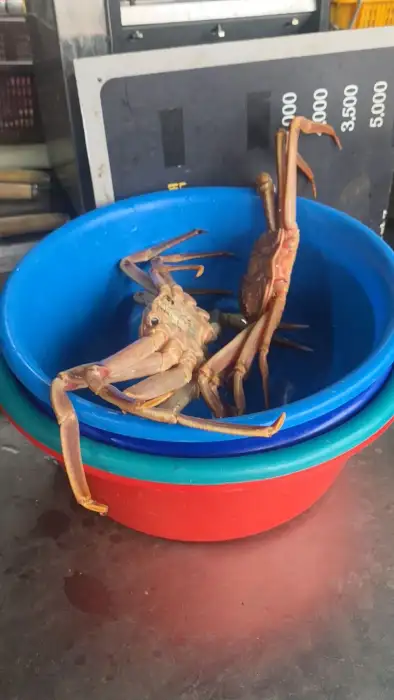대야에 담긴 두 마리의 대게