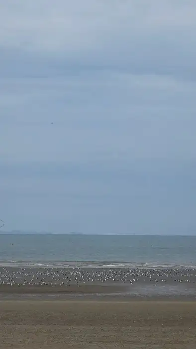 춘장대 해변 풍경