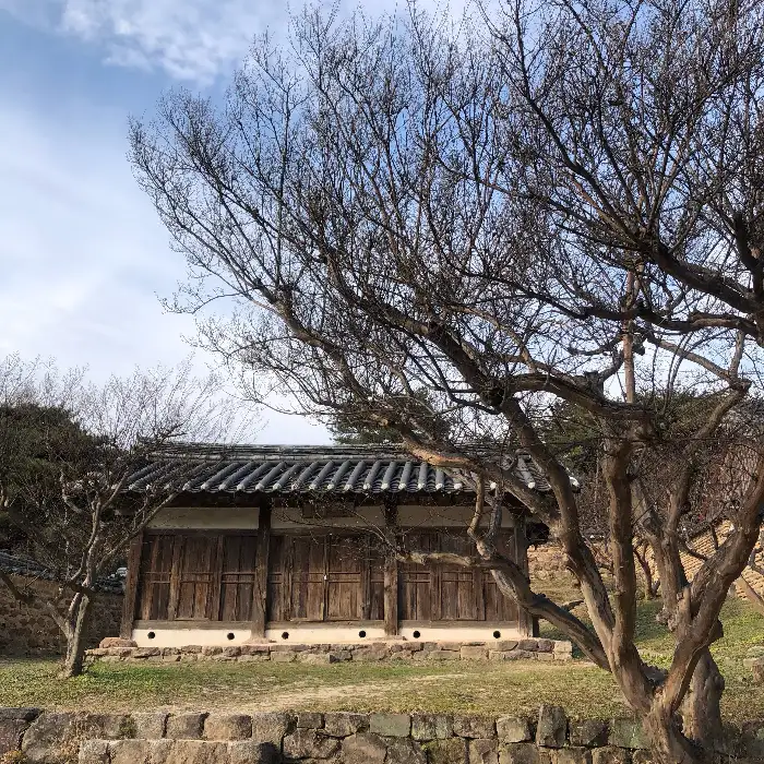 장수우동 주변 풍경