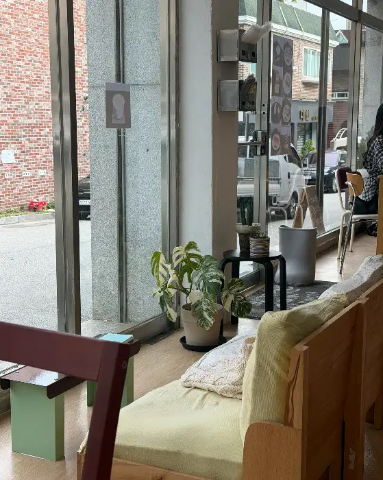 창가에 놓인 식물과 통창으로 들어오는 햇살