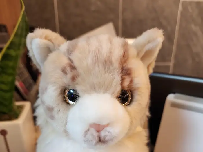 귀여운 고양이 인형 소품